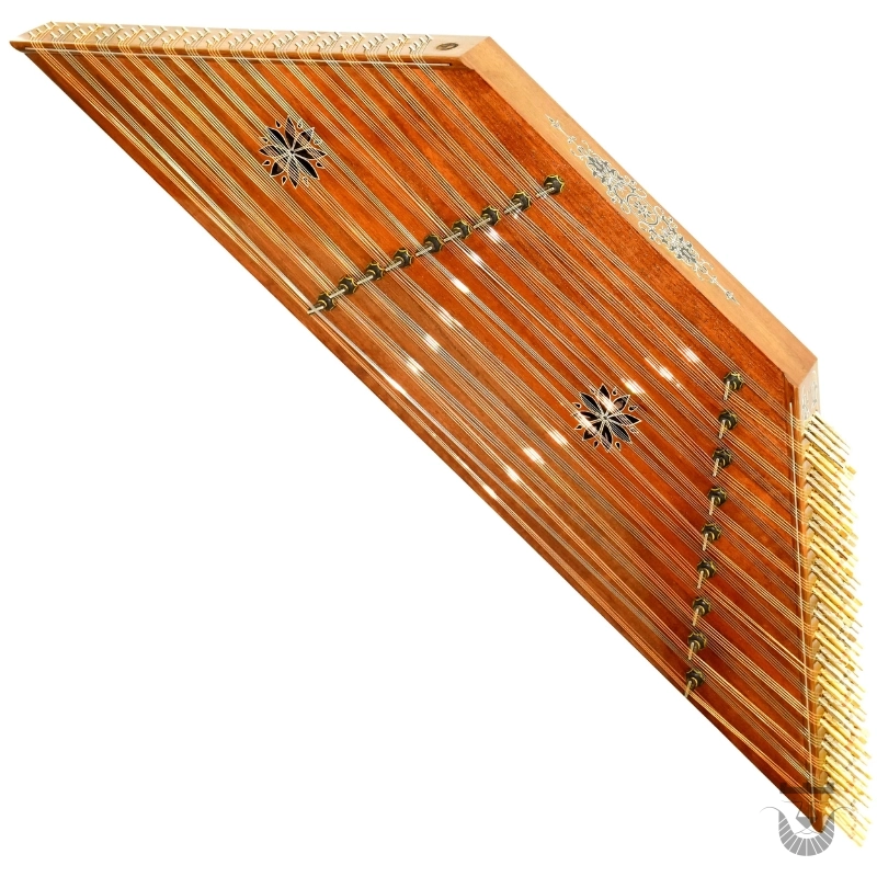 Elegant Iran Saz Model Homae Santur