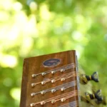 Elegant Iran Saz Model Homae Santur