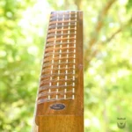 Elegant Iran Saz Model Homae Santur