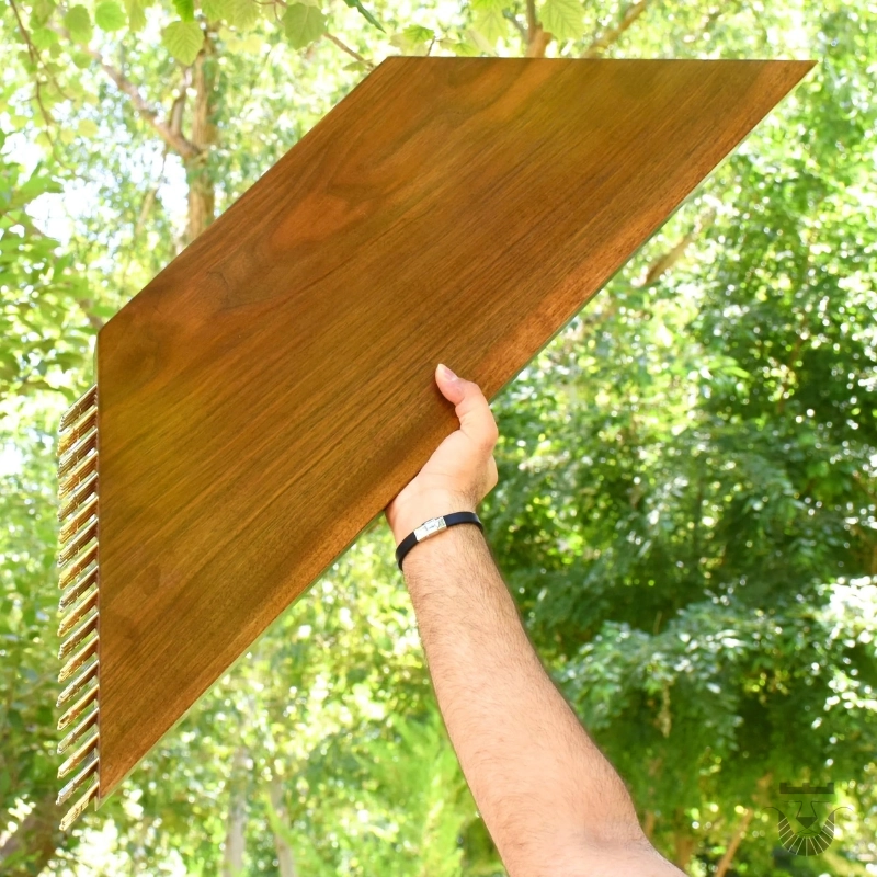 Elegant Iran Saz Model Homae Santur
