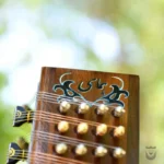 Elegant Iran Saz Model Homae Santur