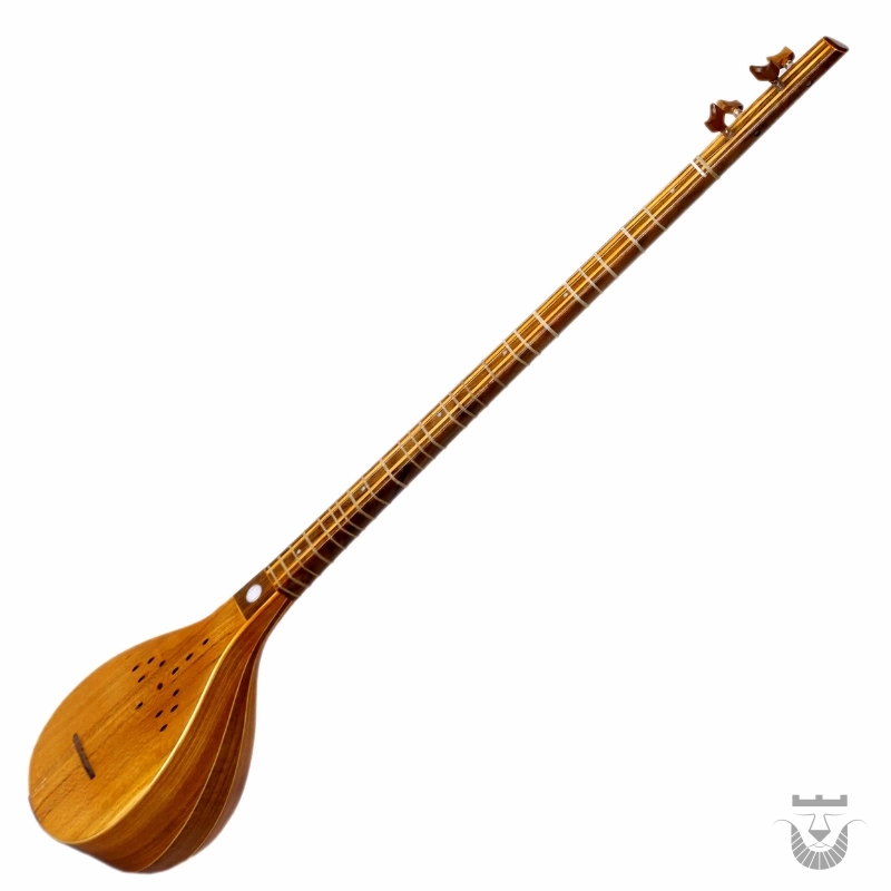 Iranian Setar: Sia Moaraq Model