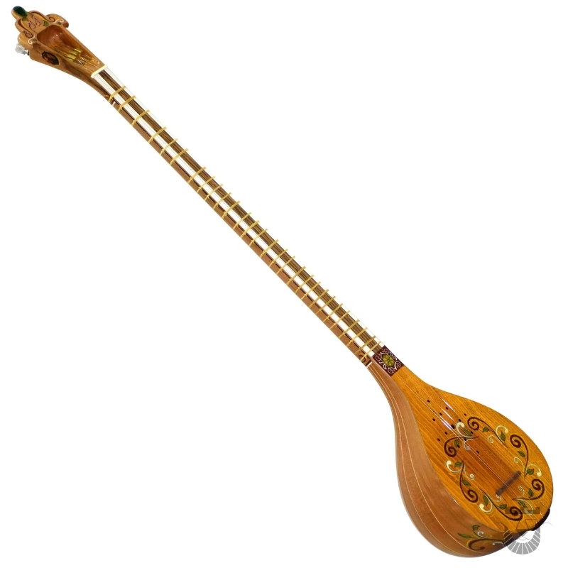 Persian Setar: Aram Model