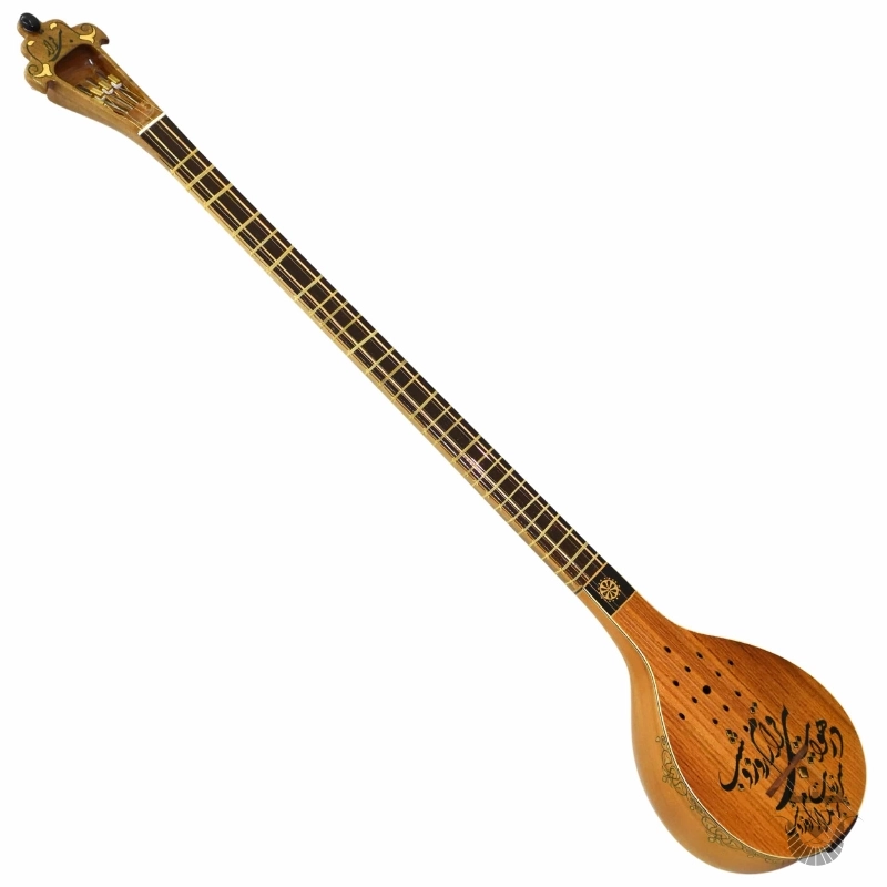 Iranian Setar: Bi-Gharar Model