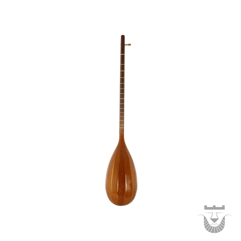 Traditional Mafakheri Handcrafted Iranian Tanbur