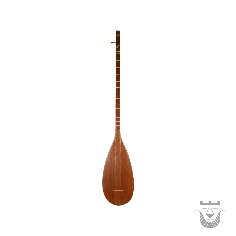 Handcrafted Persian Tanbur: Hovalhaq Double-Stamped Special Design 2