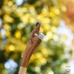 Iranian Setar: Bi-Gharar Model
