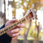 Iranian Handcrafted Setar: Shama va Parvane Model