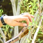 Persian Handcrafted Setar: Nehan Model