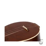 Persian Setar: Mafakheri Three-Stringed Instrument