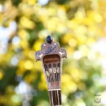 Iranian Setar: Bi-Gharar Model
