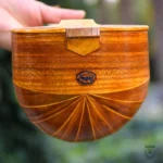 Persian Setar: Iran Saz barg44 Setar