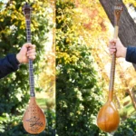 Iranian Setar: Bi-Gharar Model
