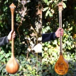 Persian Setar: Aram Model