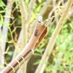 Persian Handcrafted Setar: Nehan Model
