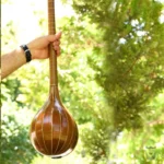 Persian Handcrafted Setar: Nehan Model