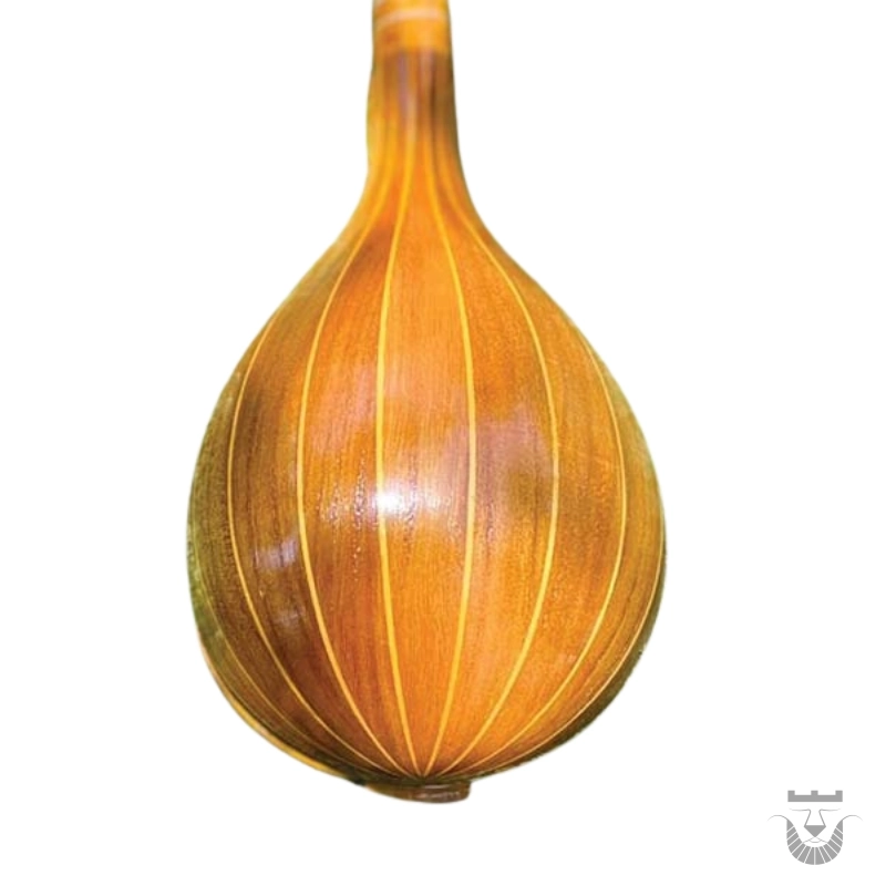 Persian Setar: Iran Saz Model Sa-de