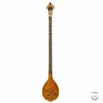 Iranian Setar: Bi-Gharar Model
