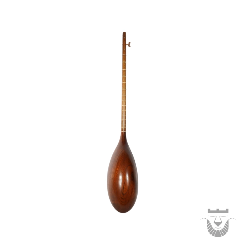 Iranian Handcrafted Tanbur: Borakhani Two Seals
