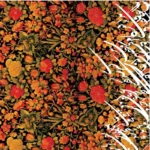 Iranian Scarf: Floral and Calligraphy Design