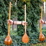 Persian Setar: Iran Saz barg44 Setar