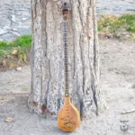 Iranian Setar: Bi-Gharar Model