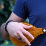 Persian Setar: Iran Saz barg44 Setar
