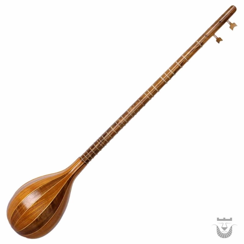 Iranian Setar: Sia Moaraq Model