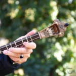 Iranian Setar: Bi-Gharar Model