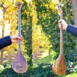 Iranian Handcrafted Setar: Shama va Parvane Model