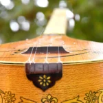 Ghogha Setar: Powerful Iranian Stringed Instrument - Image 4