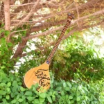 Persian Handcrafted Setar: Nehan Model