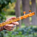 Persian Setar: Iran Saz barg44 Setar