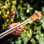 Persian Setar: Aram Model