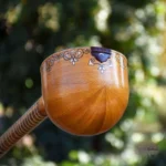 Iranian Setar: Bi-Gharar Model