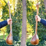 Iranian Handcrafted Setar: Shama va Parvane Model