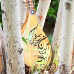 Persian Handcrafted Setar: Nehan Model