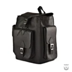 Gorgeous Persian Classic Leather Backpack for Women