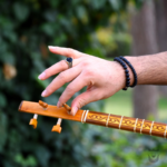 Persian Setar: Iran Saz barg44 Setar