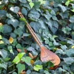 Iranian Handcrafted Setar: Shama va Parvane Model