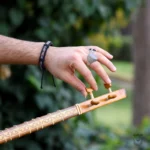 Persian Setar: Iran Saz barg44 Setar