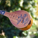 Iranian Setar: Bi-Gharar Model