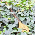 Ghogha Setar: Powerful Iranian Stringed Instrument