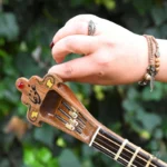 Ghogha Setar: Powerful Iranian Stringed Instrument