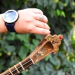 Ghogha Setar: Powerful Iranian Stringed Instrument