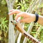 Persian Handcrafted Setar: Nehan Model