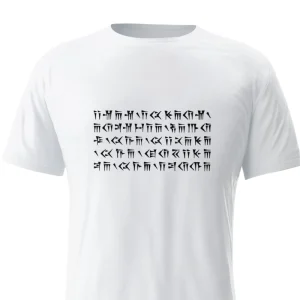 Ancient Persian Power: Darius the Great T-Shirt