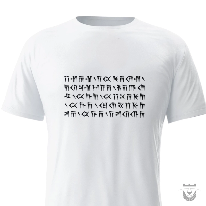 Ancient Persian Power: Darius the Great T-Shirt