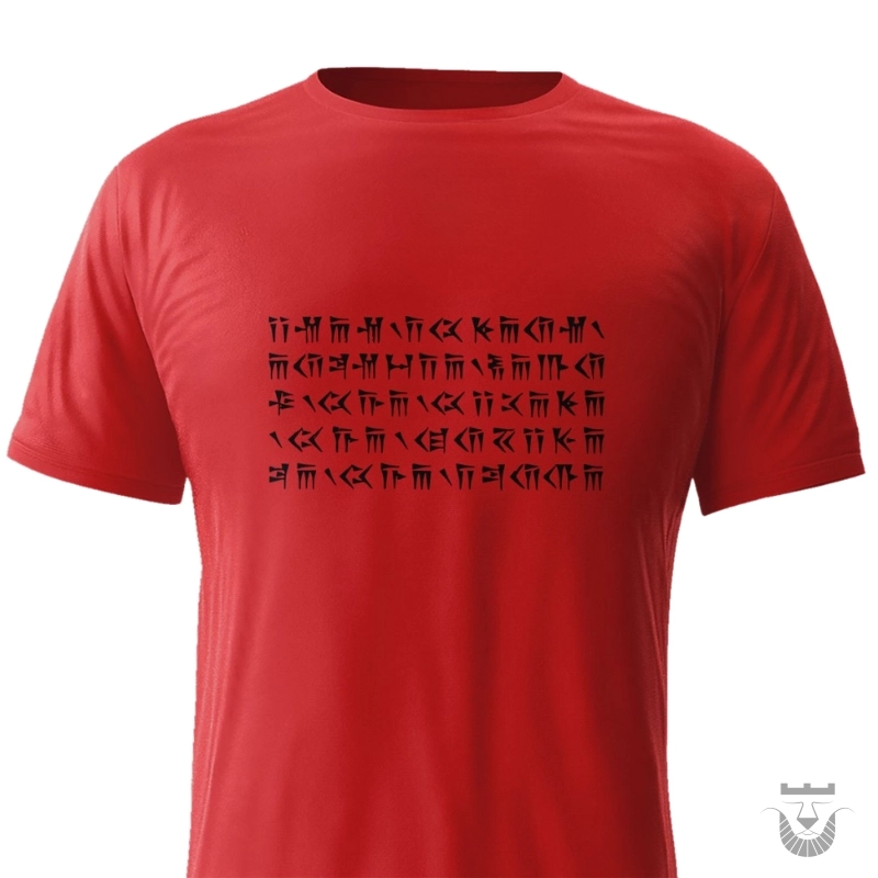 Ancient Persian Power: Darius the Great T-Shirt